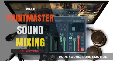 Understanding PrintMaster Sound Mixing: Techniques, Tools, and Applications