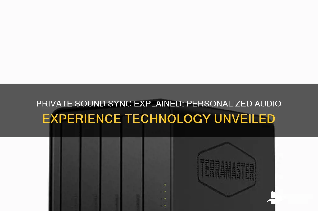 what is private sound sync