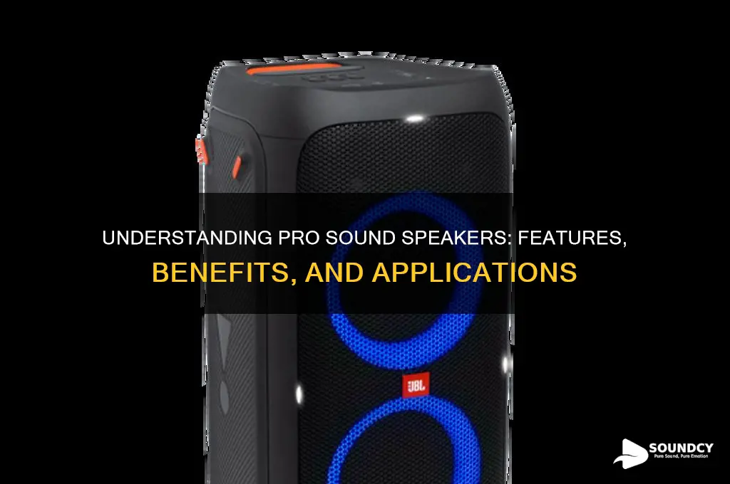 what is pro sound speaker