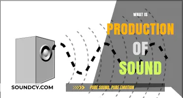 Understanding Sound Production: How Vibrations Create the Sounds We Hear