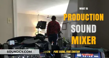 Understanding the Role of a Production Sound Mixer in Filmmaking