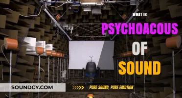 Unveiling Psychoacoustics: How Our Brains Perceive and Interpret Sound