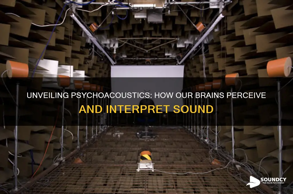 what is psychoacoustics of sound