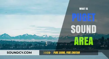 Exploring Puget Sound: Geography, Culture, and Natural Beauty of the Region