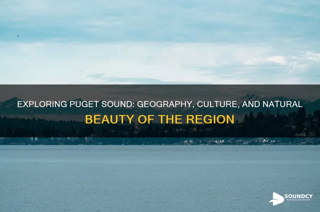 what is puget sound area