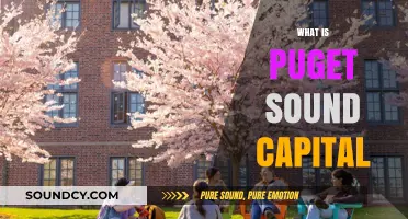 Understanding Puget Sound Capital: A Comprehensive Guide to Its Role and Impact