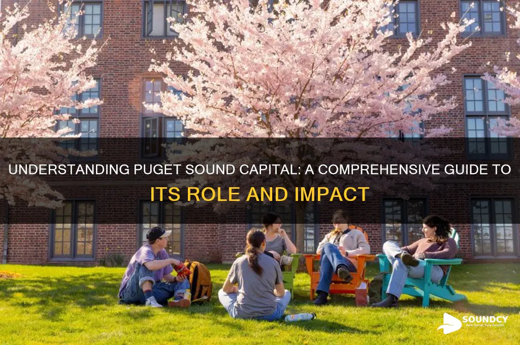 what is puget sound capital