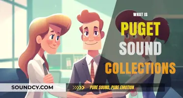 Exploring Puget Sound Collections: A Guide to Unique Regional Treasures