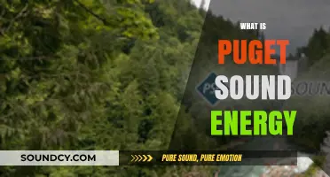 Understanding Puget Sound Energy: Services, Impact, and Community Role