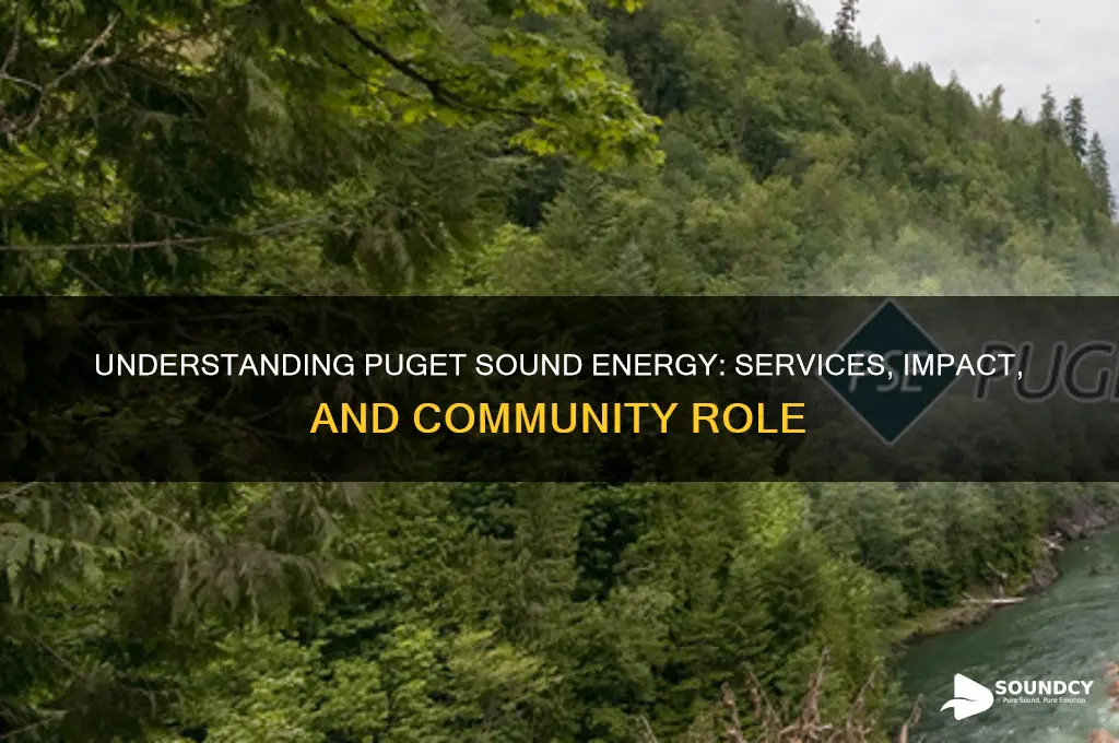 what is puget sound energy
