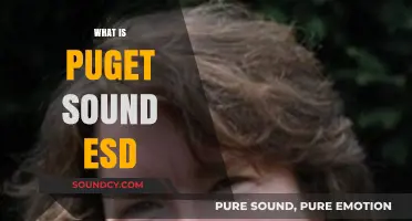 Understanding Puget Sound ESD: Role, Impact, and Educational Services
