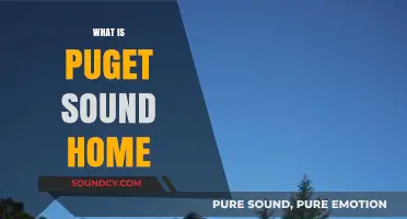 Exploring Puget Sound Homes: A Guide to Pacific Northwest Living
