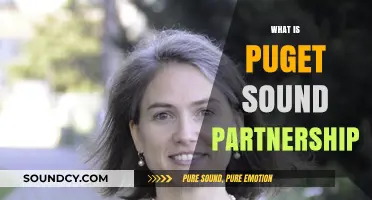 Understanding Puget Sound Partnership: Mission, Goals, and Environmental Impact