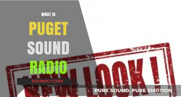 Exploring Puget Sound Radio: History, Stations, and Community Impact