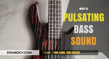 Understanding the Vibrant World of Pulsating Bass Sound in Music