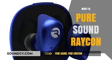 Exploring Pure Sound: Raycon's Audio Technology Unveiled in Detail