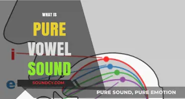 Understanding Pure Vowel Sounds: Definition, Examples, and Phonetic Clarity