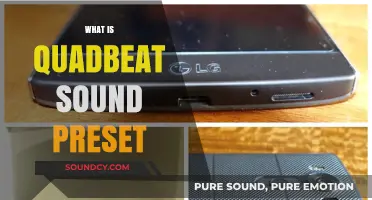 Exploring Quadbeat Sound Preset: Enhancing Music Production with Unique Rhythms