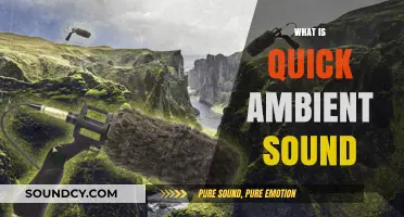 Understanding Quick Ambient Sound: Definition, Uses, and Benefits Explained