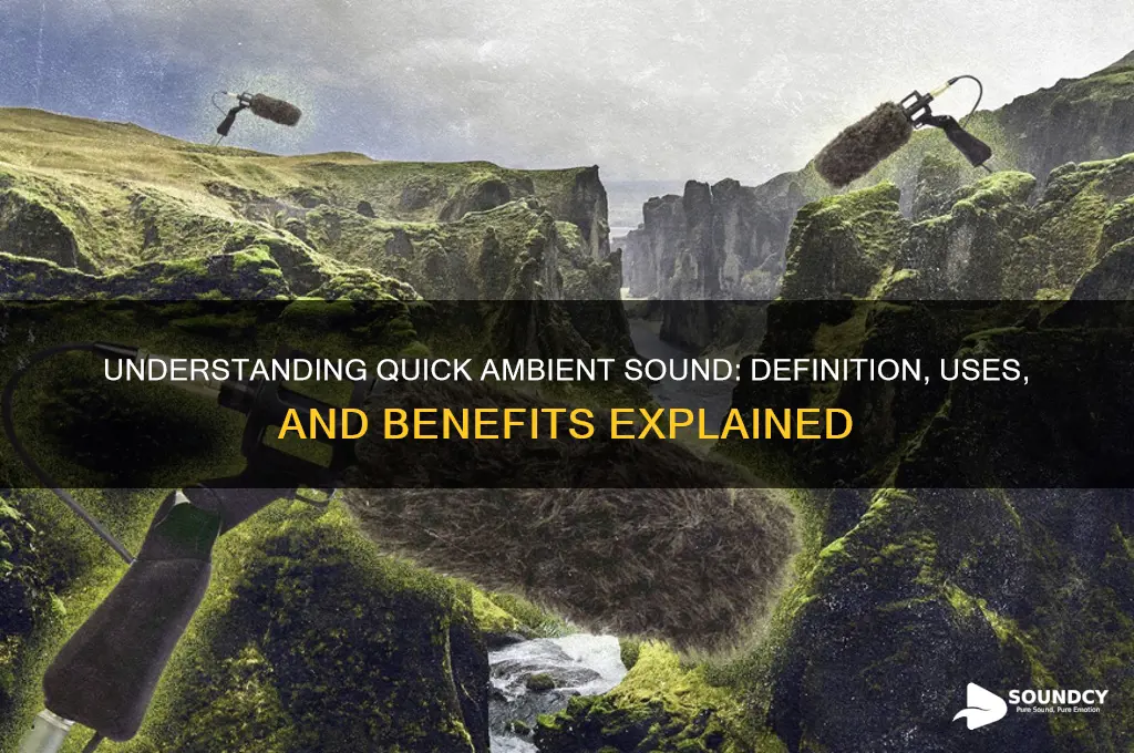 what is quick ambient sound