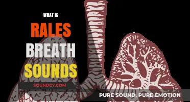 Understanding Rales Breath Sounds: Causes, Symptoms, and Diagnosis Explained