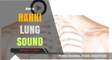 Understanding Ranki Lung Sound: Causes, Symptoms, and Diagnosis Explained