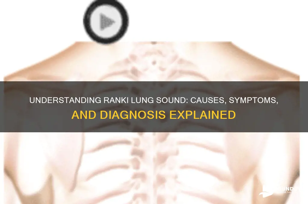 what is ranki lung sound