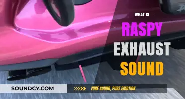Understanding the Raspy Exhaust Sound: Causes, Fixes, and Tuning Tips