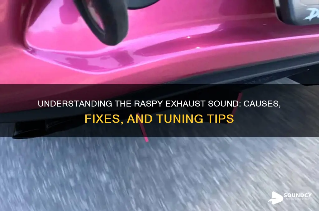 what is raspy exhaust sound