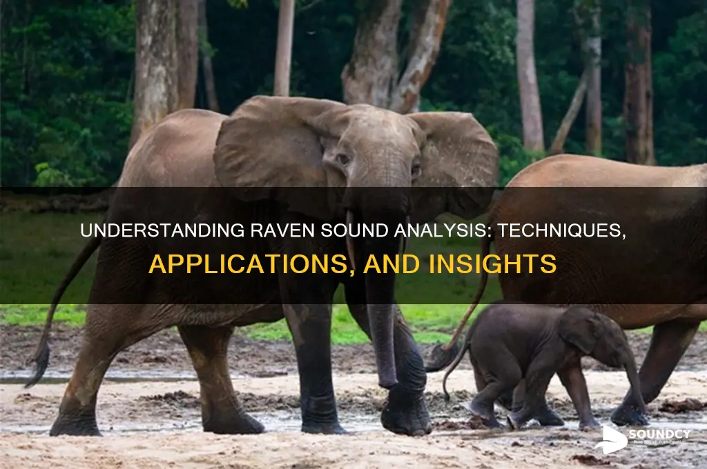 what is raven sound analysis