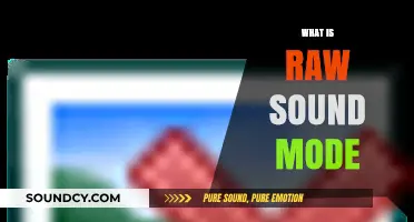 Understanding Raw Sound Mode: Enhancing Audio Quality in Recording Devices