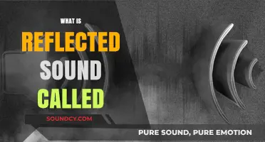 Understanding Reflected Sound: What is an Echo and How Does it Work?