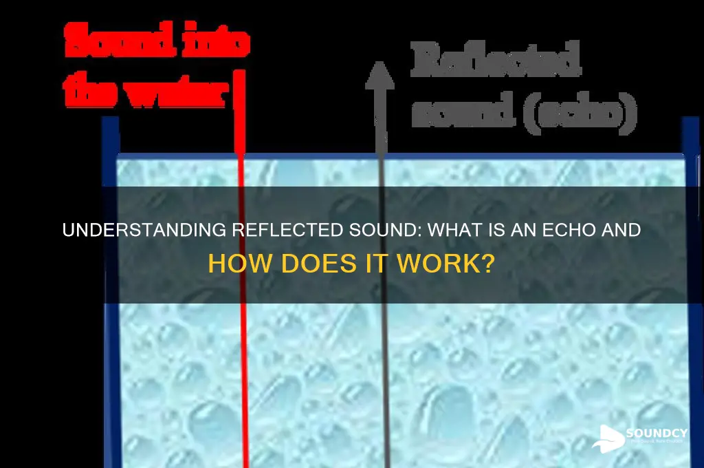 what is reflected sound called