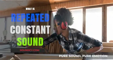 Understanding Repeated Constant Sounds: Causes, Effects, and Real-World Examples