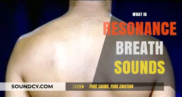 Understanding Resonance Breath Sounds: Causes, Characteristics, and Clinical Significance