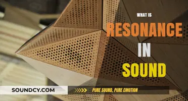 Understanding Resonance: How Sound Amplifies and Sustains in Spaces