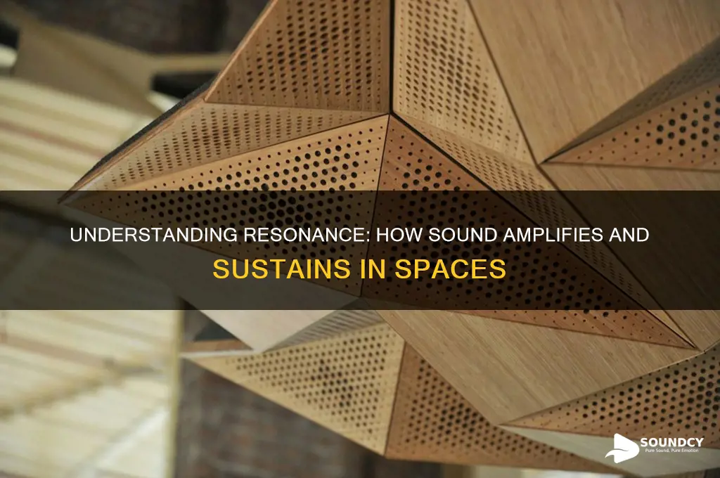 what is resonance in sound
