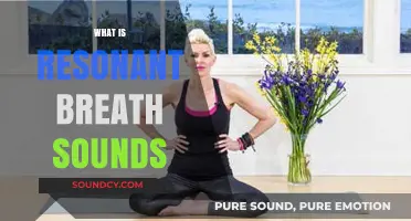 Understanding Resonant Breath Sounds: Causes, Significance, and Clinical Insights