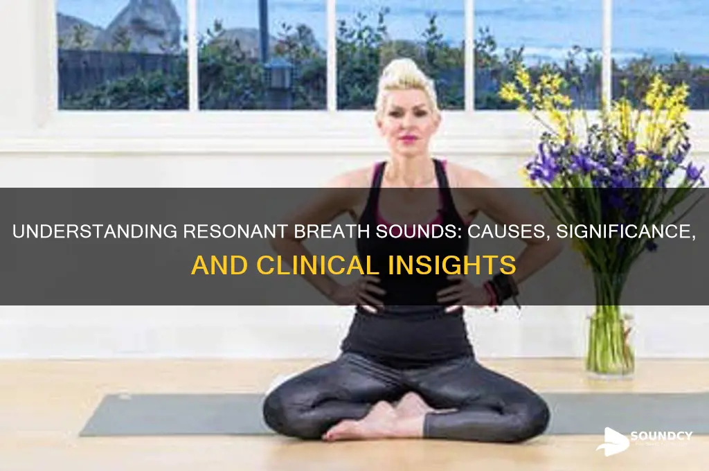 what is resonant breath sounds