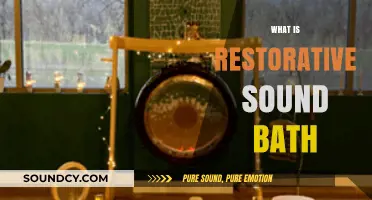 Healing Vibrations: Understanding the Restorative Power of Sound Baths