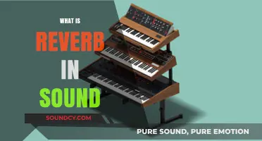 Understanding Reverb: How It Shapes Soundscapes in Music and Audio