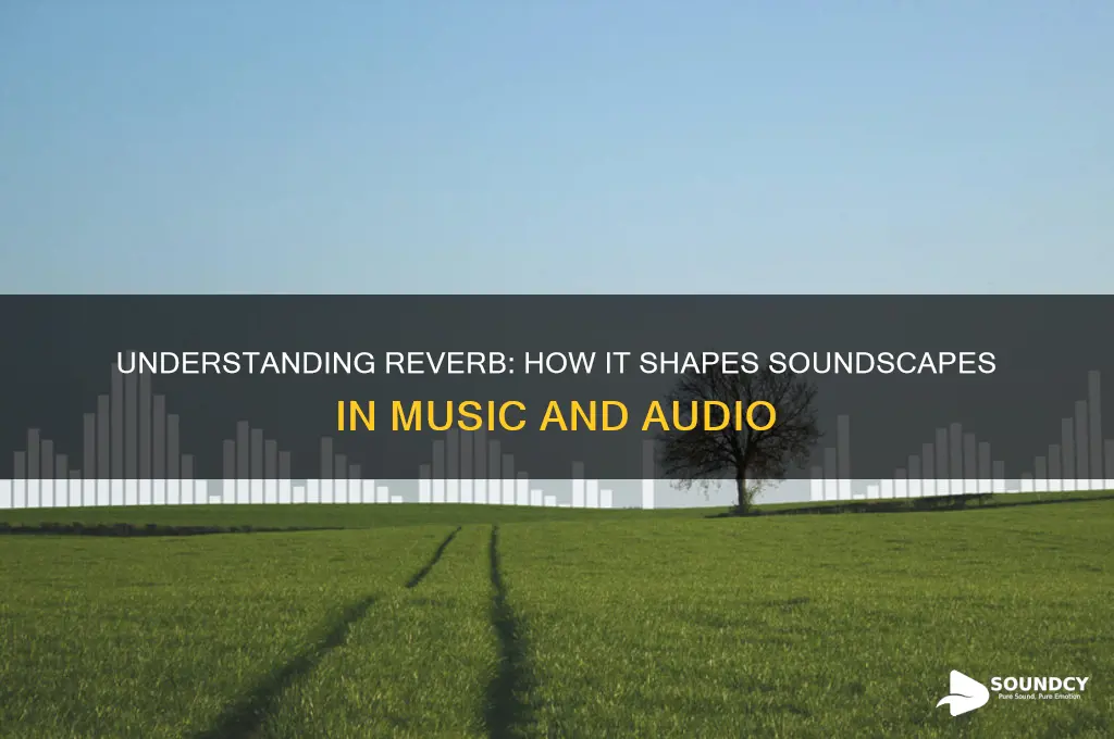what is reverb in sound