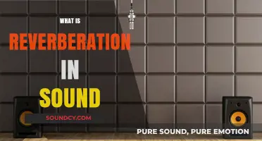 Understanding Reverberation: How Sound Echoes and Lingers in Spaces