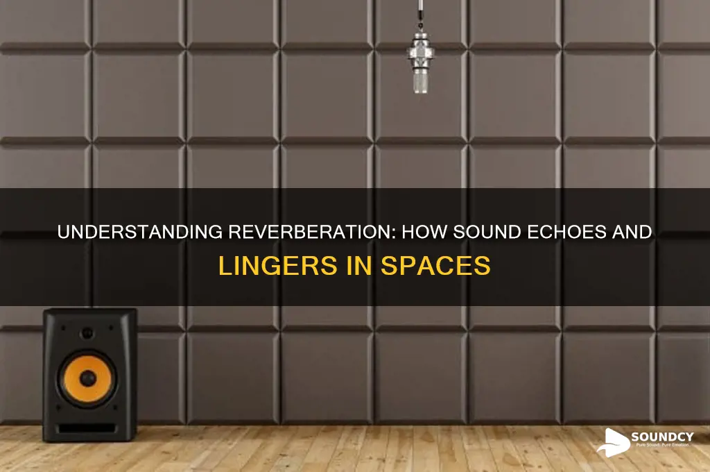 what is reverberation in sound