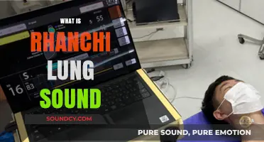 Understanding the Rhanchi Lung Sound: Causes, Symptoms, and Treatment