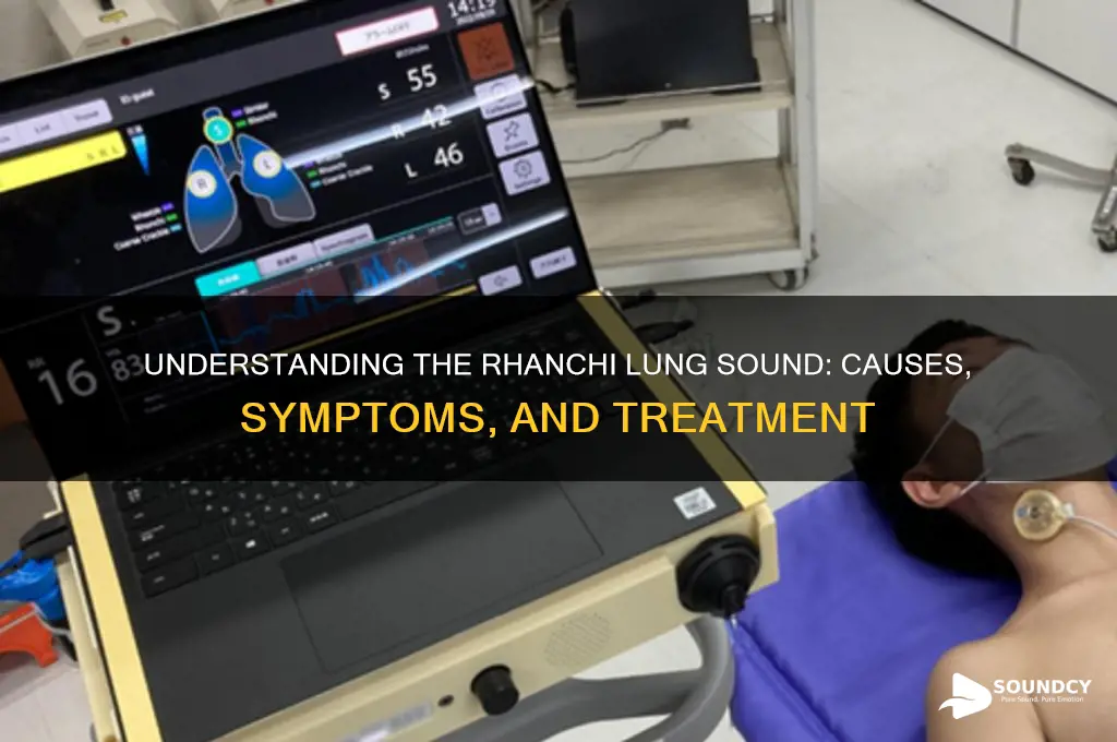 what is rhanchi lung sound