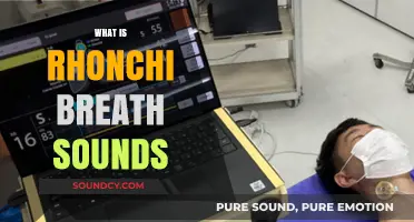 Understanding Rhonchi Breath Sounds: Causes, Symptoms, and Diagnosis Explained