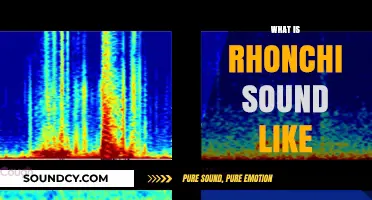 Understanding Rhonchi: What This Wheezing Lung Sound Actually Sounds Like