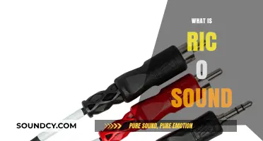 Unveiling Ric O Sound: Exploring the Unique Audio Phenomenon