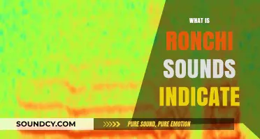 Understanding Ronchi Sounds: What They Indicate and Why They Matter